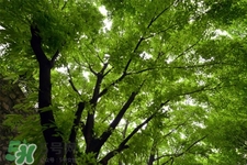 3月份能暖和嗎？一般幾月份開始天氣變暖？