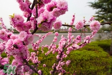 3月份能暖和嗎？一般幾月份開始天氣變暖？