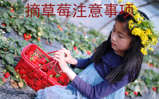 草莓干好吃嗎 草莓干有營(yíng)養(yǎng)嗎
