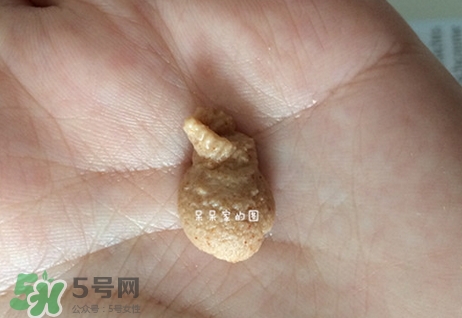 德國世家律動(dòng)潔面膏怎么用?德國世家律動(dòng)潔面膏使用方法