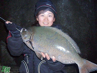 3月份釣魚用什么餌料？三月份釣魚用什么魚餌？
