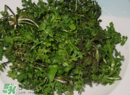 薺菜怎么洗？薺菜怎么洗才干凈？