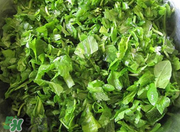 薺菜怎么洗？薺菜怎么洗才干凈？