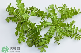 薺菜是什么菜？薺菜是什么野菜？