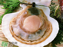 薺菜和扇貝可以一起吃嗎？薺菜扇貝湯的做法
