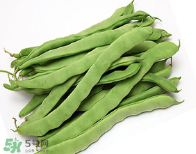 三月份可以種豆角嗎？豆角幾月份種？