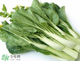 青菜苔可以吃嗎？青菜苔怎么做好吃？