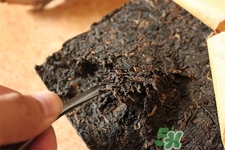 藤茶的營養價值 藤茶的功效與作用