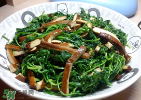 薺菜吃多了會(huì)中毒嗎？吃薺菜中毒怎么辦？