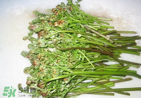 蕨菜怎么去苦味？蕨菜怎么做不苦？