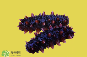 春天能吃海參嗎？春天吃海參效果好嗎？