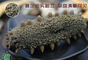 春天能吃海參嗎？春天吃海參效果好嗎？