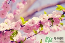春天容易得水痘嗎？春天是水痘的高發(fā)季節(jié)嗎？