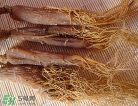 春天能吃紅參嗎？春天可以吃紅參嗎？