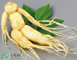 春天能吃高麗參嗎？春天可以喝高麗參湯嗎？