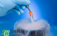 凍卵是什么？凍卵子需要多少錢？
