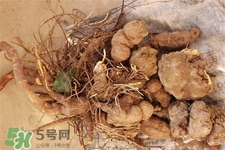 何首烏的營養(yǎng)價(jià)值 何首烏的功效與作用