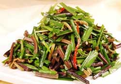 糖尿病能吃蕨菜嗎？糖尿病可以吃蕨菜嗎？