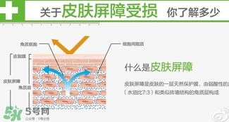 玉澤和至本哪個好？玉澤和至本區別對比