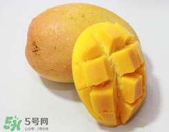 芒果什么季節成熟？芒果什么時候上市？