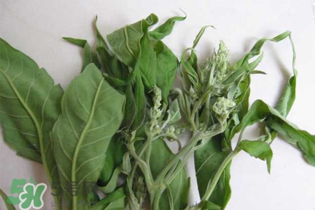 艾草可以治腳氣嗎？艾草泡腳能治腳氣嗎？