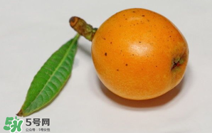 枇杷可以和蔥一起煮嗎？蔥和枇杷葉一起煮可以喝嗎？