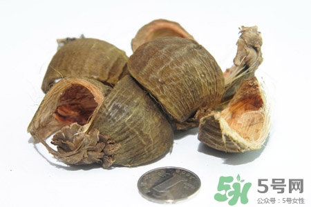 檳榔的營養價值 檳榔的功效與作用
