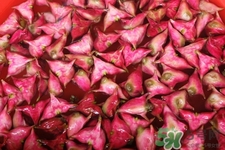 3月份的菱角可以吃嗎？菱角什么時候吃最好？