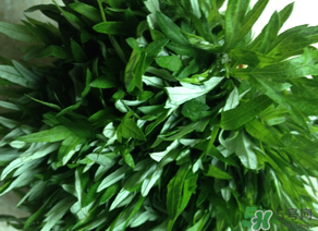 清明草是艾草嗎？清明菜是什么草？