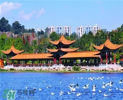 4月份去昆明穿什么？四月份去昆明穿什么衣服？