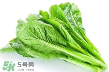 春菜為什么會(huì)苦？春菜發(fā)苦能吃嗎？