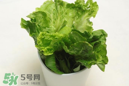 春菜為什么會(huì)苦？春菜發(fā)苦能吃嗎？