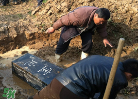 清明節能下葬嗎？2017年清明節前下葬吉日