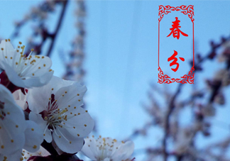 春菜為什么會苦？春菜發苦能吃嗎？