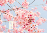 春分吃什么？春分吃什么會更加健康？