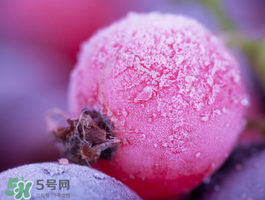 藍莓變紅可以吃嗎？藍莓發紅是壞掉了嘛？