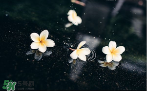 三月份為什么一直下雨？2017年三月份為什么雨多？