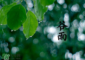 2017年谷雨是幾月幾號？2017年谷雨是哪一天？