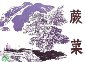 吃蕨菜會過敏嗎？皮膚過敏能吃蕨菜嗎？