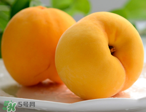 黃桃為什么那么貴？黃桃為什么這么貴？