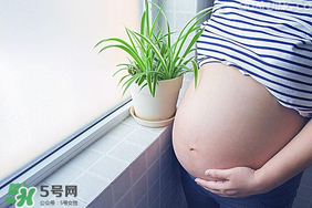 孕婦可以做美甲嗎？美甲對孕婦有什么影響？
