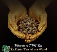 twg茶哪個最經典？twg茶葉哪個好喝？