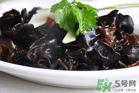 黑木耳可以隔夜吃嗎？黑木耳能過夜吃嗎？