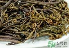 龍頭菜的營養價值_龍頭菜的功效與作用及食用方法