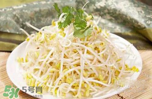黃豆芽熱量高嗎？吃黃豆芽會長胖嗎？