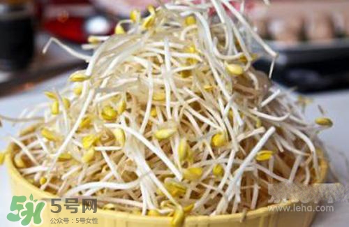 黃豆芽熱量高嗎？吃黃豆芽會長胖嗎？