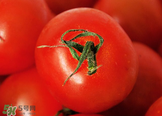 五月份吃什么蔬菜？5月份吃什么蔬菜？