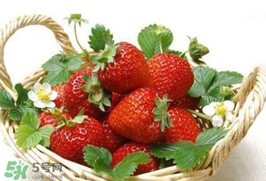 五月份還有草莓嗎？5月份還有草莓嗎？