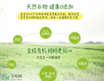 禧貝米粉二段味道怎么樣？禧貝米粉二段味道如何？