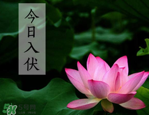 2017年頭伏是哪一天？2017年什么時候入伏？